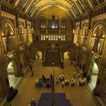 Cover It Up appointed as preferred supplier to Natural History Museum