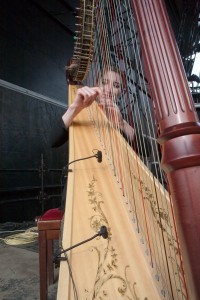 DPA 4099 instrument mics on the harp at Rick Wakeman’s The Six Wives of Henry VIII performances at Hampton Court Palace
