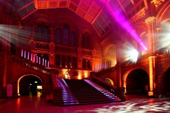 nhm_photographer-james-mckenzie