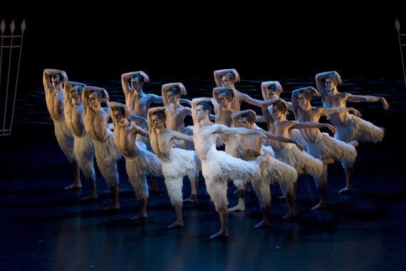 N_BH402SwanLake_1_Hr