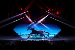 XL Video Avicii avi132159313