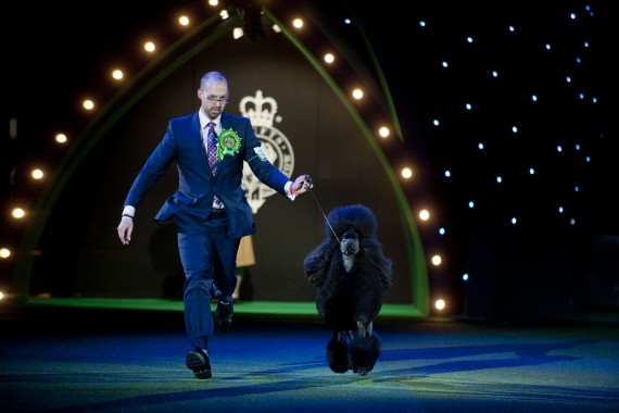 S+H Technical Crufts 2014 JS3018