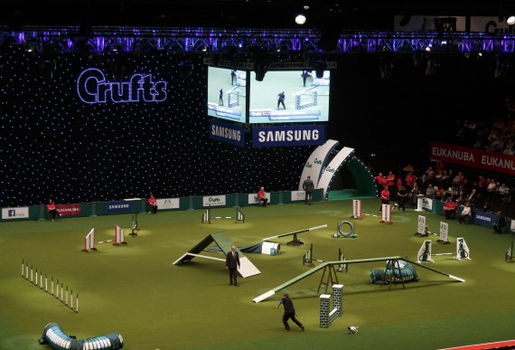 S+H Technical Crufts 2014 MA8893