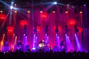 Colour Sound Vaccines 2015 vac172240451